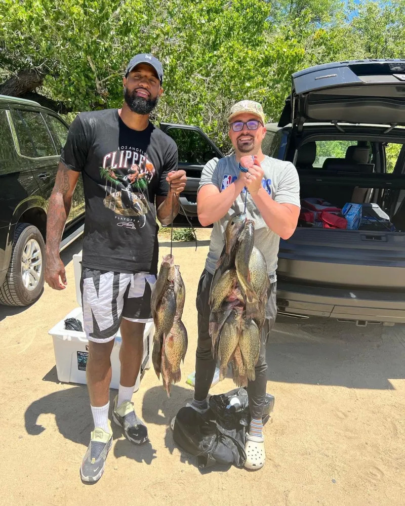 这个名字频 这个名字频