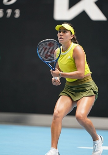 文化活动以 文化活动以